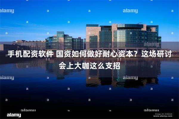 手机配资软件 国资如何做好耐心资本？这场研讨会上大咖这么支招