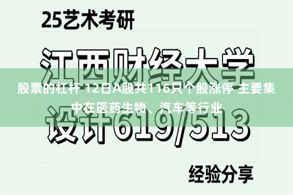 股票的杠杆 12日A股共116只个股涨停 主要集中在医药生物、汽车等行业