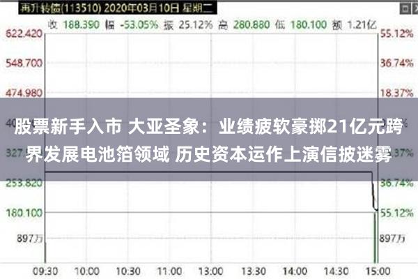 股票新手入市 大亚圣象：业绩疲软豪掷21亿元跨界发展电池箔领域 历史资本运作上演信披迷雾