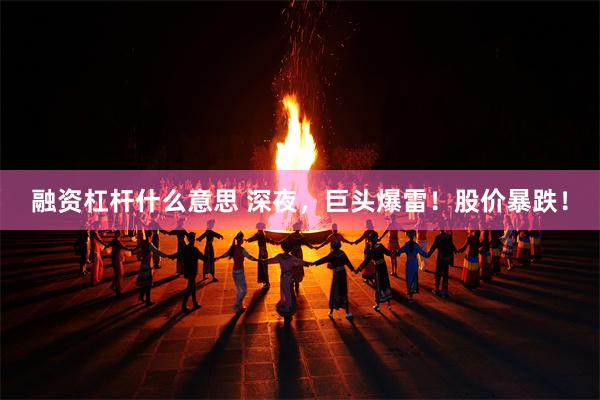 融资杠杆什么意思 深夜，巨头爆雷！股价暴跌！