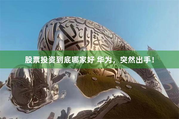 股票投资到底哪家好 华为，突然出手！