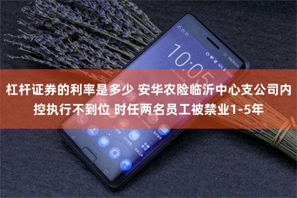 杠杆证券的利率是多少 安华农险临沂中心支公司内控执行不到位 时任两名员工被禁业1-5年