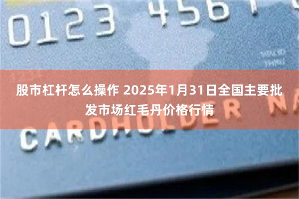 股市杠杆怎么操作 2025年1月31日全国主要批发市场红毛丹价格行情