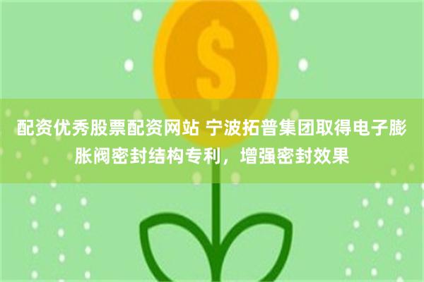 配资优秀股票配资网站 宁波拓普集团取得电子膨胀阀密封结构专利，增强密封效果