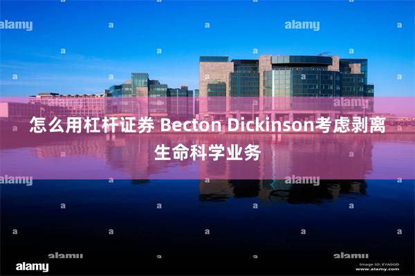 怎么用杠杆证券 Becton Dickinson考虑剥离生命科学业务