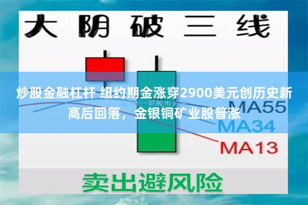 炒股金融杠杆 纽约期金涨穿2900美元创历史新高后回落，金银铜矿业股普涨
