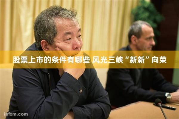 股票上市的条件有哪些 风光三峡“新新”向荣