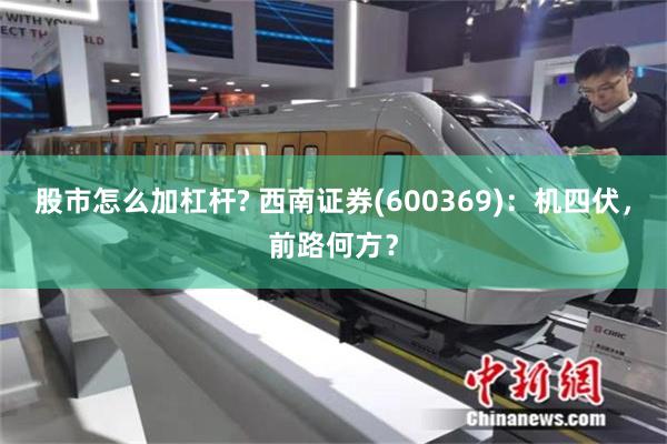 股市怎么加杠杆? 西南证券(600369)：机四伏，前路何方？