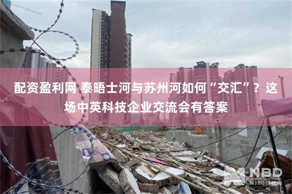 配资盈利网 泰晤士河与苏州河如何“交汇”？这场中英科技企业交流会有答案