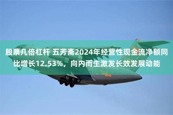 股票几倍杠杆 五芳斋2024年经营性现金流净额同比增长12.53%，向内而生激发长效发展动能
