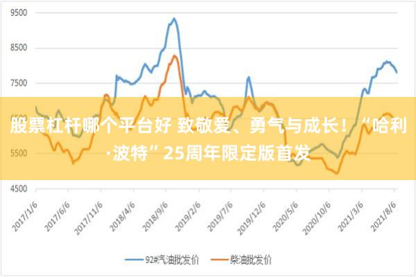 股票杠杆哪个平台好 致敬爱、勇气与成长！“哈利·波特”25周年限定版首发