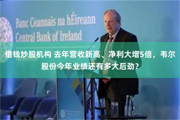 借钱炒股机构 去年营收新高、净利大增5倍，韦尔股份今年业绩还有多大后劲？