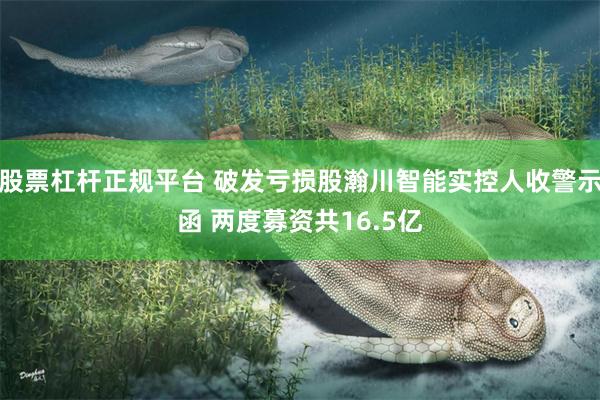 股票杠杆正规平台 破发亏损股瀚川智能实控人收警示函 两度募资共16.5亿