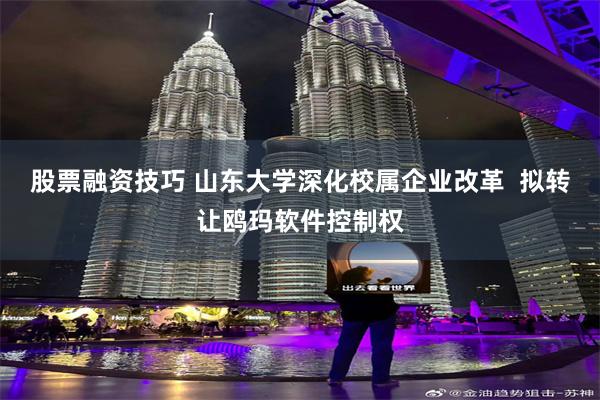 股票融资技巧 山东大学深化校属企业改革  拟转让鸥玛软件控制权