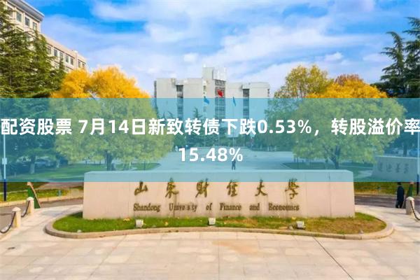 配资股票 7月14日新致转债下跌0.53%，转股溢价率15.48%