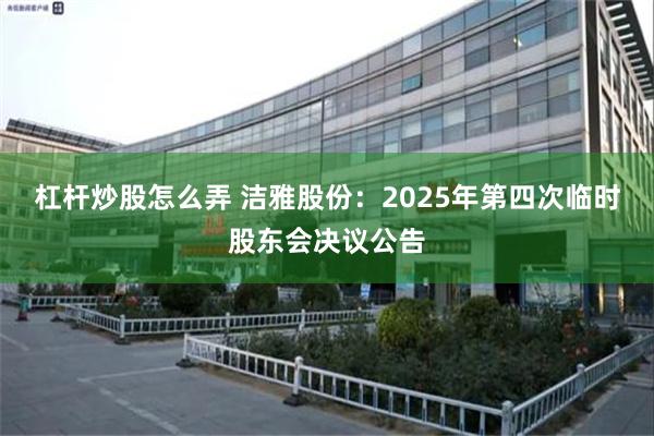 杠杆炒股怎么弄 洁雅股份：2025年第四次临时股东会决议公告