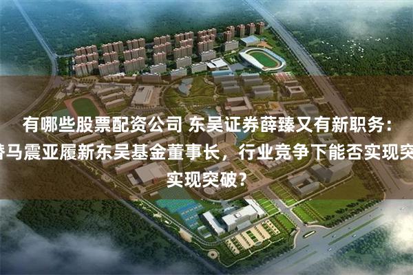 有哪些股票配资公司 东吴证券薛臻又有新职务：接替马震亚履新东吴基金董事长，行业竞争下能否实现突破？
