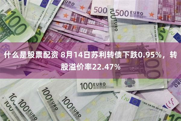 什么是股票配资 8月14日苏利转债下跌0.95%，转股溢价率22.47%