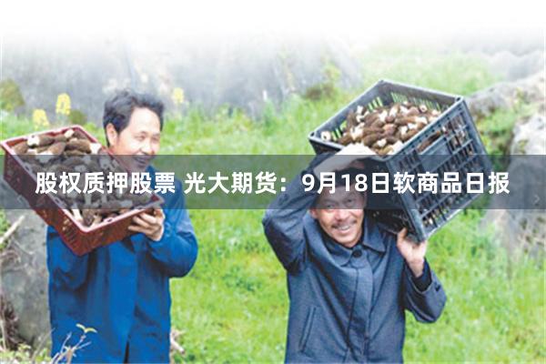 股权质押股票 光大期货：9月18日软商品日报