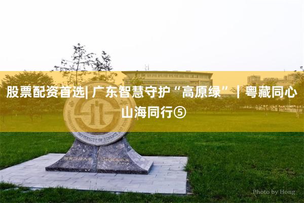 股票配资首选| 广东智慧守护“高原绿”｜粤藏同心 山海同行⑤