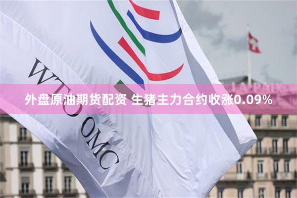 外盘原油期货配资 生猪主力合约收涨0.09%
