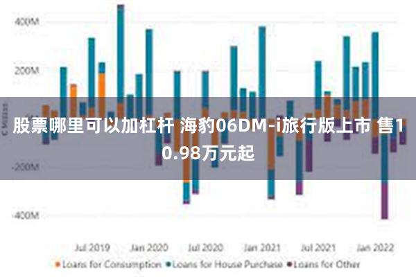 股票哪里可以加杠杆 海豹06DM-i旅行版上市 售10.98万元起