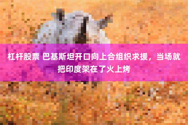 杠杆股票 巴基斯坦开口向上合组织求援，当场就把印度架在了火上烤