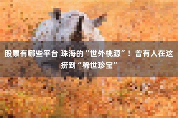 股票有哪些平台 珠海的“世外桃源”！曾有人在这捞到“稀世珍宝”