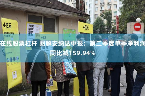 在线股票杠杆 图解安纳达中报：第二季度单季净利润同比减159.94%