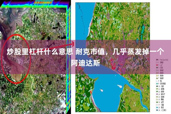 炒股里杠杆什么意思 耐克市值，几乎蒸发掉一个阿迪达斯
