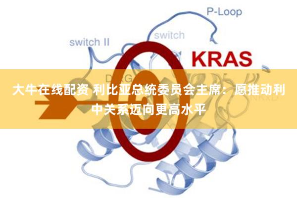 大牛在线配资 利比亚总统委员会主席：愿推动利中关系迈向更高水平