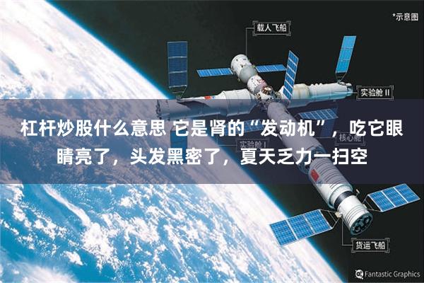 杠杆炒股什么意思 它是肾的“发动机”，吃它眼睛亮了，头发黑密了，夏天乏力一扫空