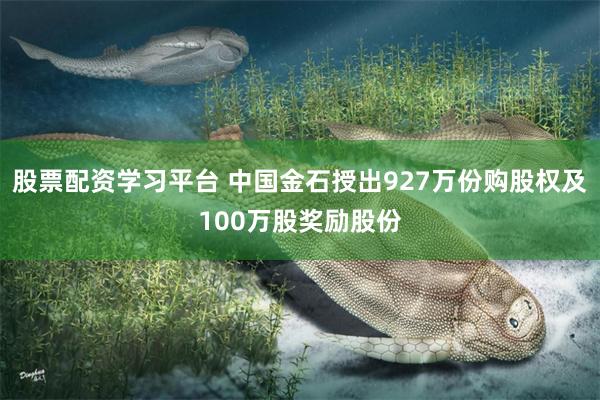 股票配资学习平台 中国金石授出927万份购股权及100万股奖励股份