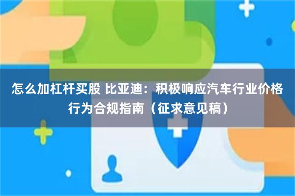 怎么加杠杆买股 比亚迪：积极响应汽车行业价格行为合规指南（征求意见稿）