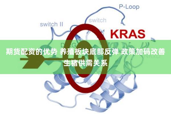 期货配资的优势 养殖板块底部反弹 政策加码改善生猪供需关系