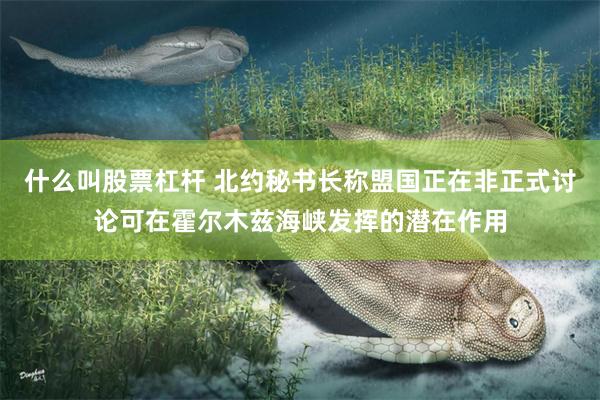 什么叫股票杠杆 北约秘书长称盟国正在非正式讨论可在霍尔木兹海峡发挥的潜在作用