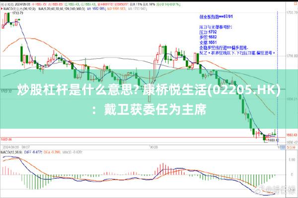 炒股杠杆是什么意思? 康桥悦生活(02205.HK)：戴卫获委任为主席
