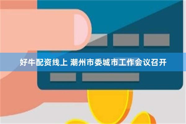 好牛配资线上 潮州市委城市工作会议召开