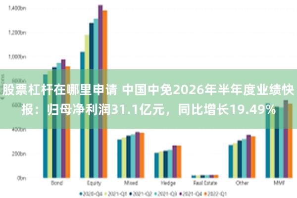 股票杠杆在哪里申请 中国中免2026年半年度业绩快报：归母净利润31.1亿元，同比增长19.49%