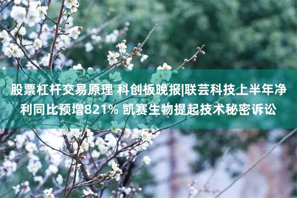 股票杠杆交易原理 科创板晚报|联芸科技上半年净利同比预增821% 凯赛生物提起技术秘密诉讼