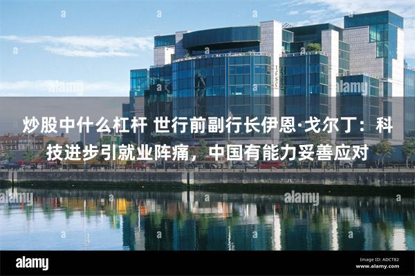炒股中什么杠杆 世行前副行长伊恩·戈尔丁：科技进步引就业阵痛，中国有能力妥善应对