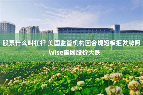 股票什么叫杠杆 美国监管机构因合规短板拒发牌照，Wise集团股价大跌