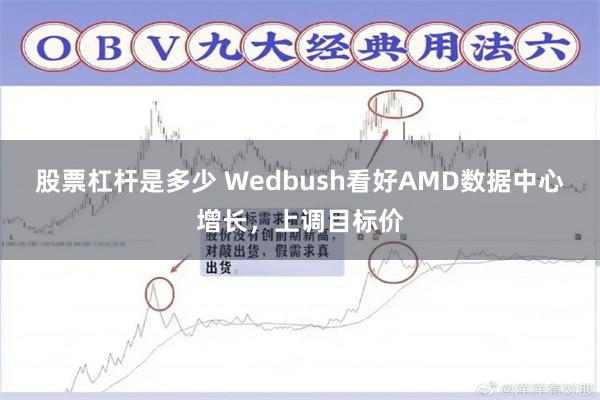 股票杠杆是多少 Wedbush看好AMD数据中心增长，上调目标价