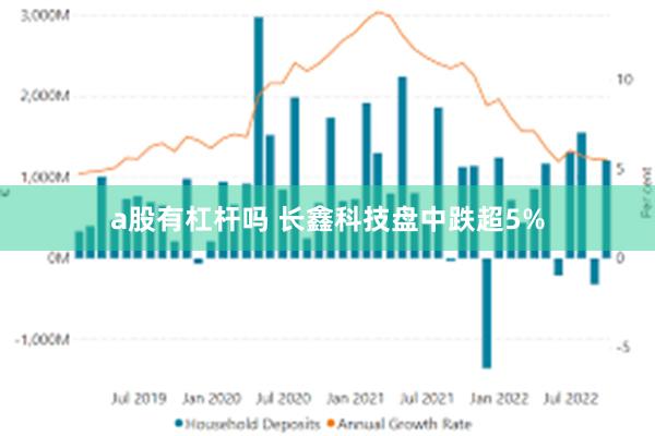 a股有杠杆吗 长鑫科技盘中跌超5%