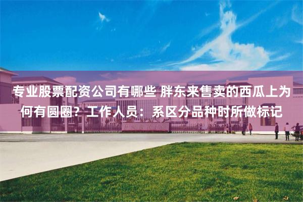 专业股票配资公司有哪些 胖东来售卖的西瓜上为何有圆圈？工作人员：系区分品种时所做标记