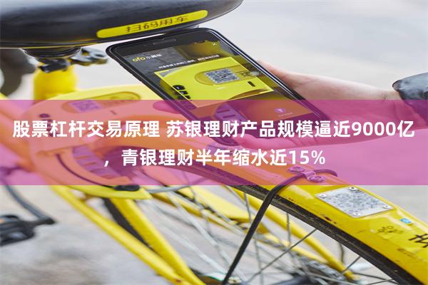 股票杠杆交易原理 苏银理财产品规模逼近9000亿，青银理财半年缩水近15%