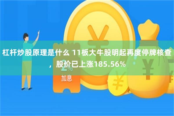 杠杆炒股原理是什么 11板大牛股明起再度停牌核查，股价已上涨185.56%