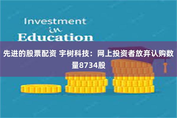 先进的股票配资 宇树科技：网上投资者放弃认购数量8734股