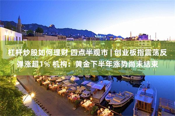 杠杆炒股如何理财 四点半观市 | 创业板指震荡反弹涨超1% 机构：黄金下半年涨势尚未结束