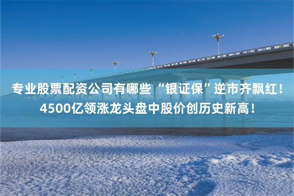 专业股票配资公司有哪些 “银证保”逆市齐飘红！4500亿领涨龙头盘中股价创历史新高！